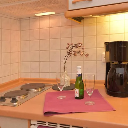 Erlkoenig Gaesteappartements Appartamento