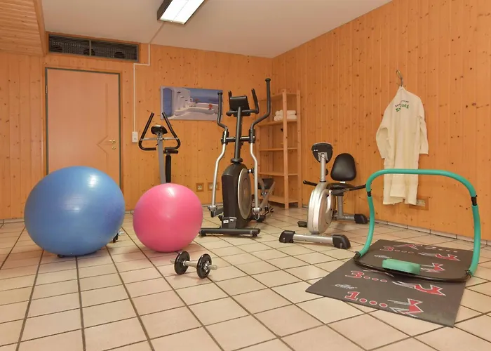 Aparthotel Erlkoenig Gaesteappartements Bad Fussing