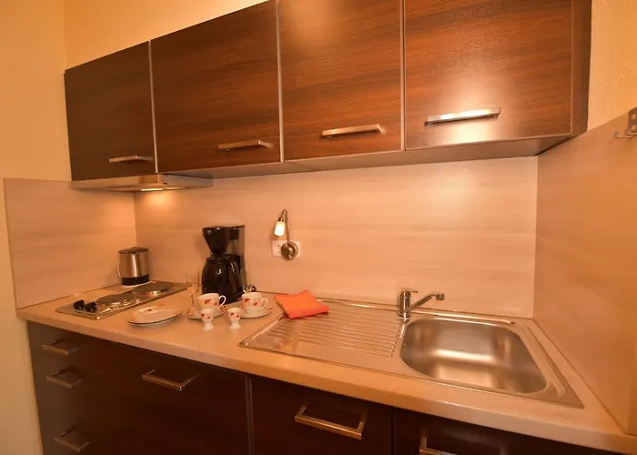 Erlkoenig Gaesteappartements Bad Fussing