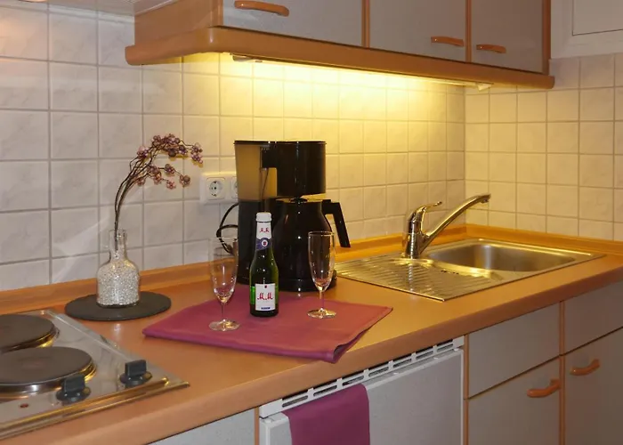 Erlkoenig Gaesteappartements Aparthotel Bad Fussing